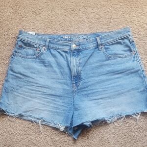 American Eagle Outfitters Light Wash Denim Cutoff Shorts
